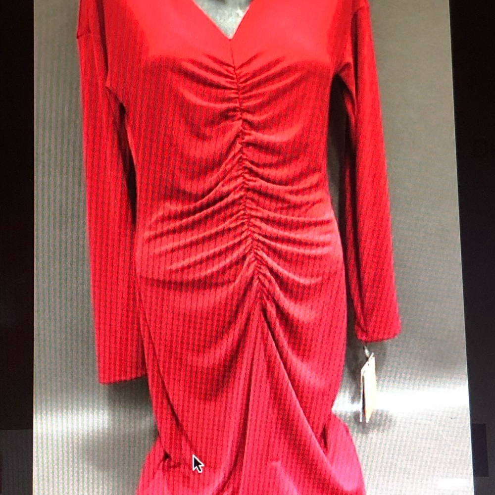 Designer Narciso Rodríguez Dress